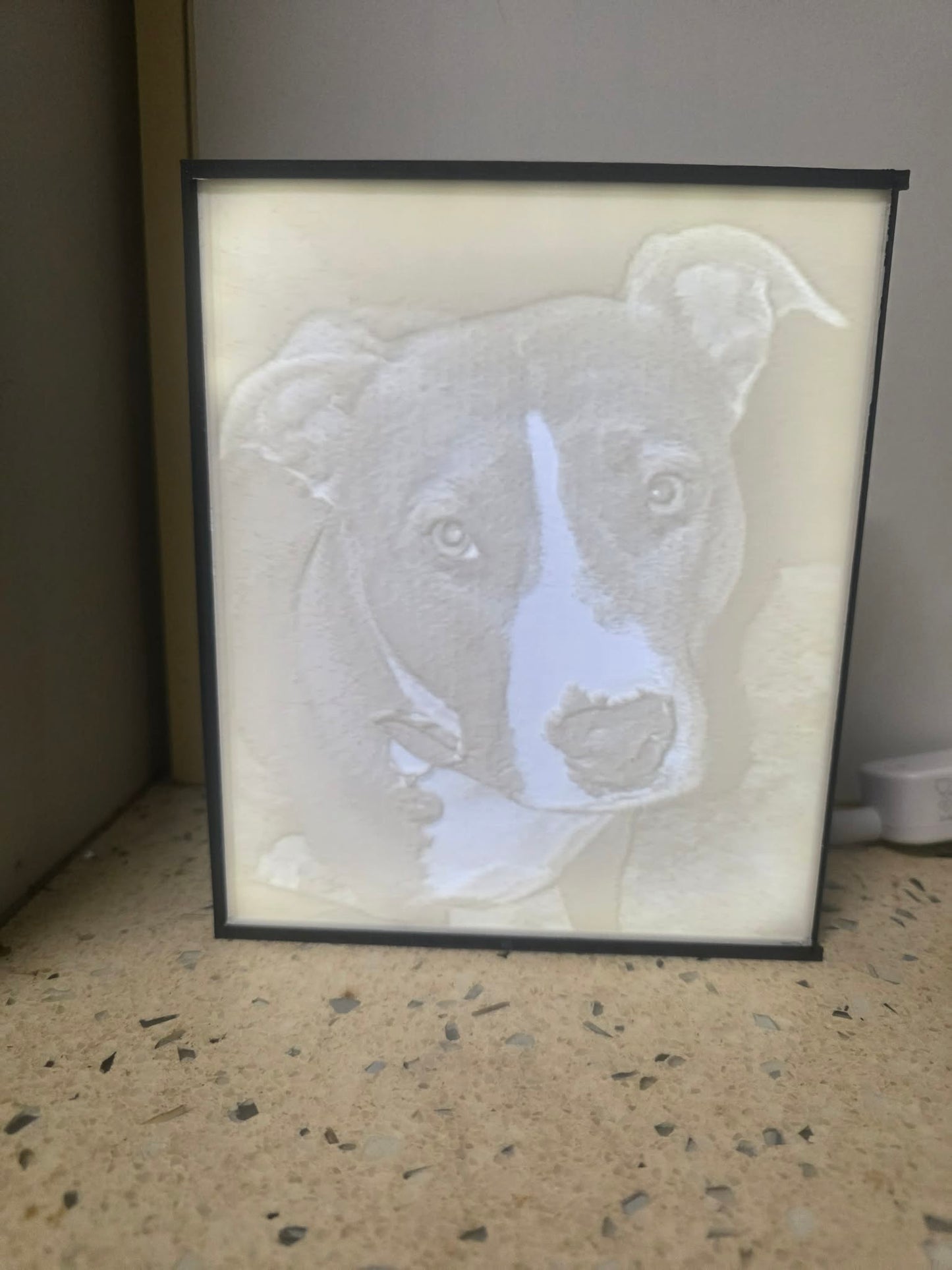 Custom Light box