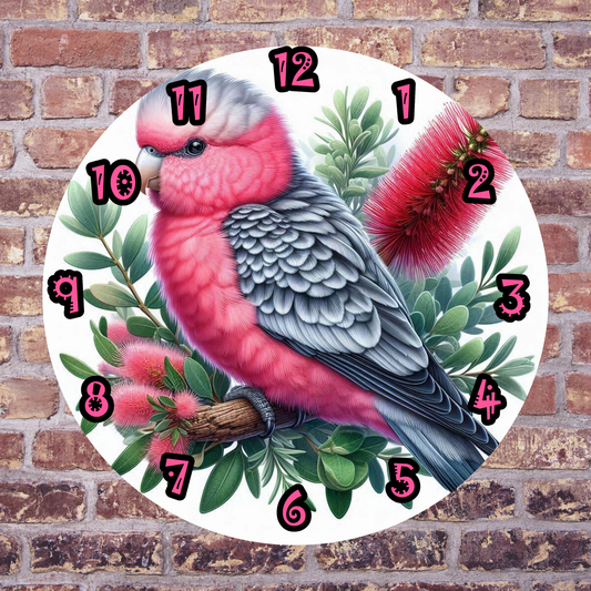Galah